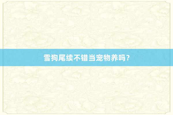 雪狗尾续不错当宠物养吗?