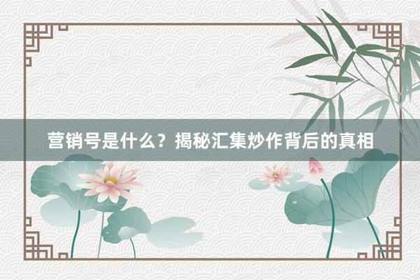 营销号是什么？揭秘汇集炒作背后的真相